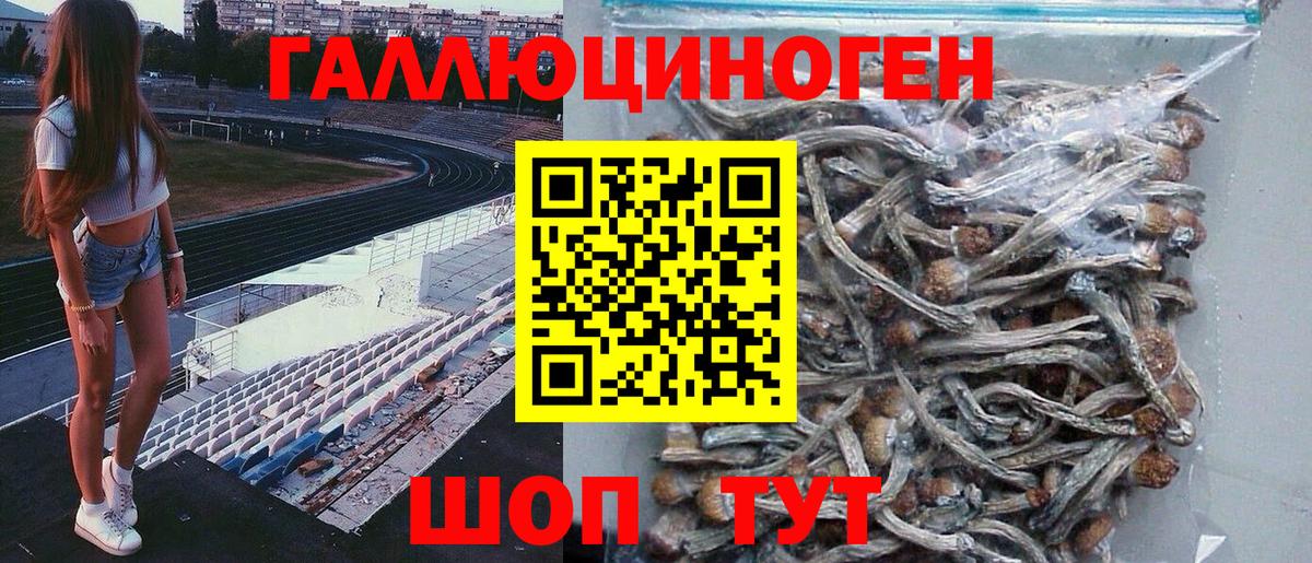 Псилоцибиновые грибы мухоморы Десногорск