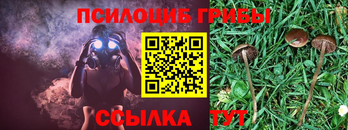Галлюциногенные грибы Magic Shrooms  Вход с VPN  Десногорск 